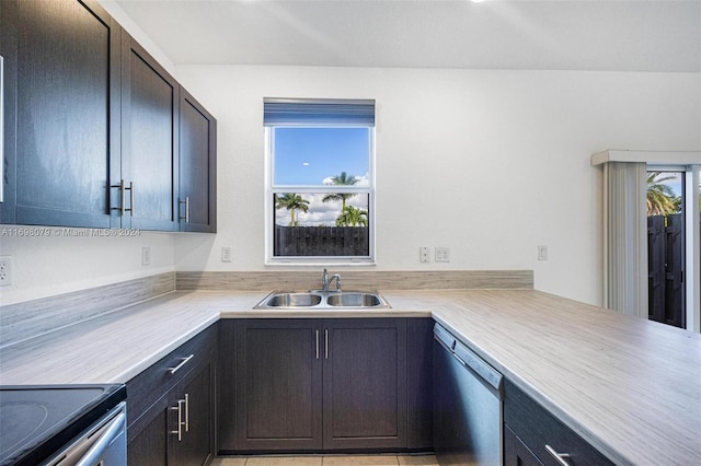 kitchen featuring appliances with stainless steel finishes, dark brown cabinets, and sink