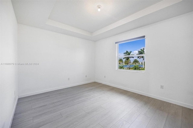 empty room featuring a raised ceiling and light wood-type flooring