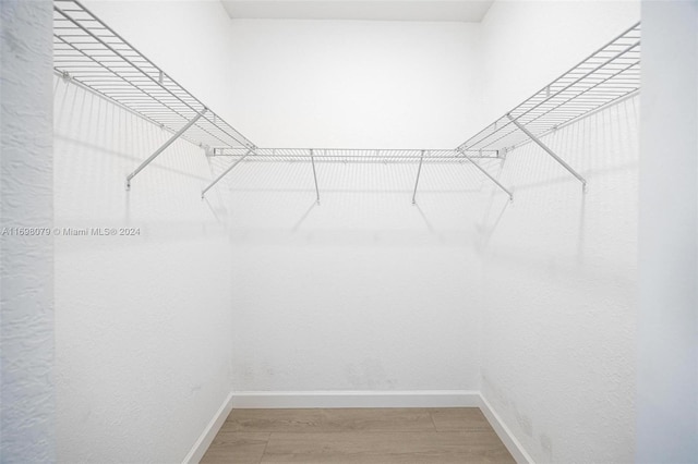 walk in closet featuring wood-type flooring