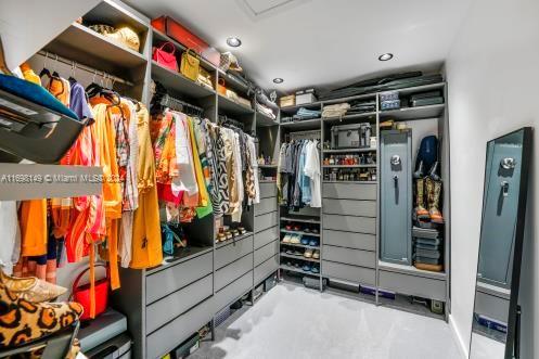 view of spacious closet