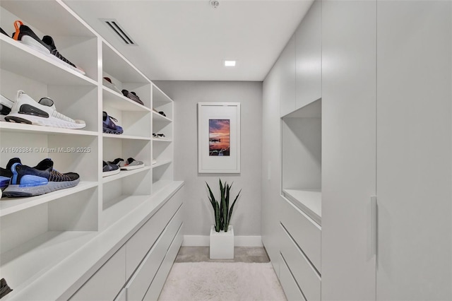 view of spacious closet