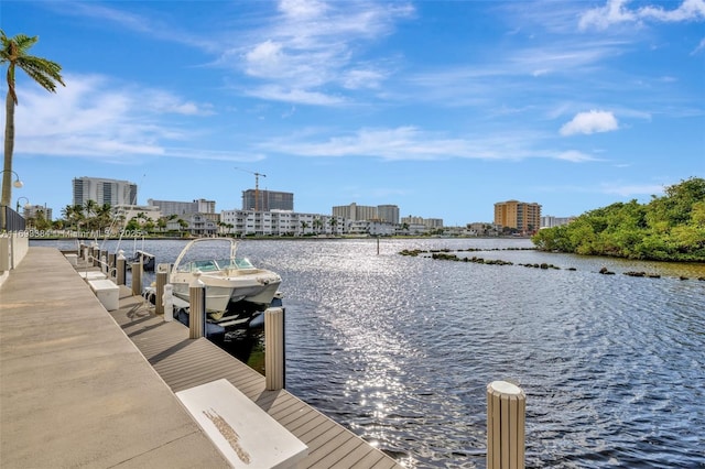 dock area with a water view