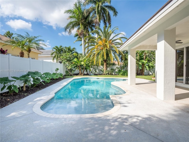 view of pool featuring a patio area