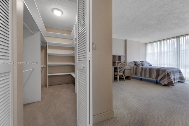 walk in closet with light colored carpet