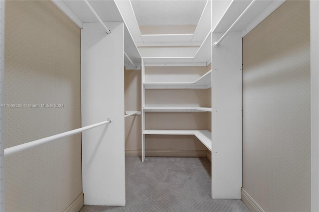 walk in closet with carpet flooring