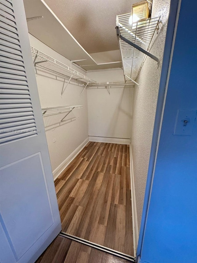 walk in closet featuring wood finished floors