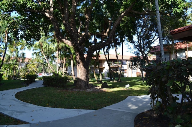 view of home's community with a yard