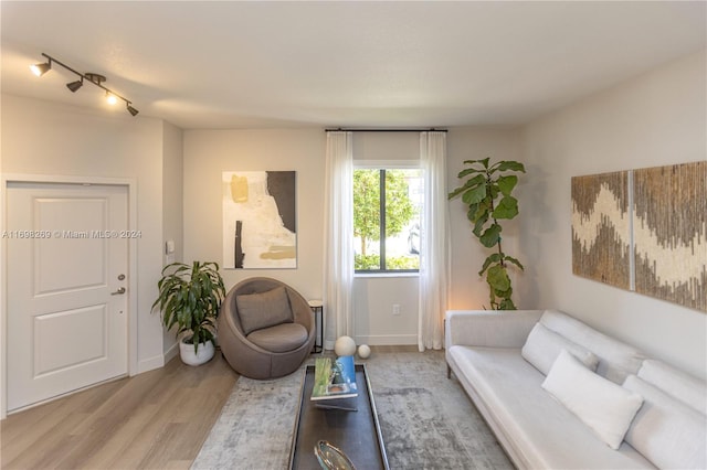 living room with light wood-type flooring and track lighting