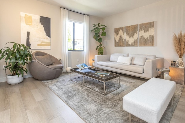 living room featuring light hardwood / wood-style flooring