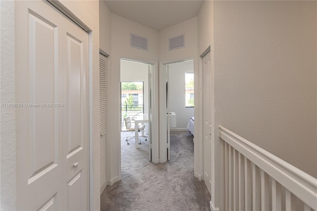 hallway featuring carpet floors