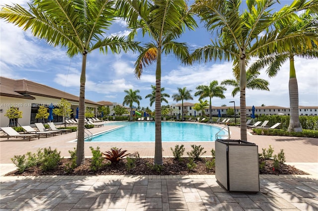 view of pool featuring a patio area