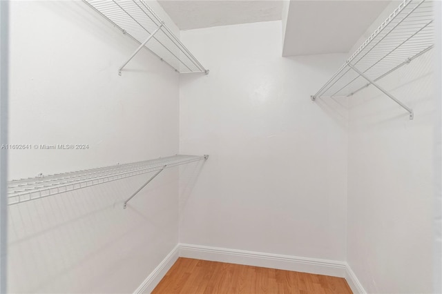 spacious closet with wood-type flooring