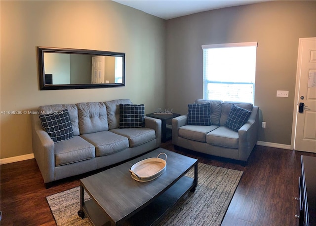 living room with dark hardwood / wood-style flooring