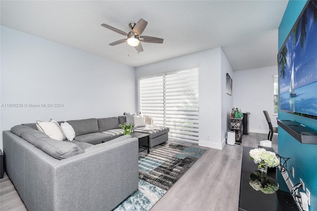 living room featuring ceiling fan, wood-type flooring, and a textured ceiling