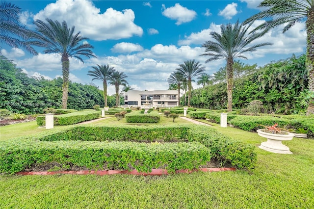 view of home's community featuring a yard