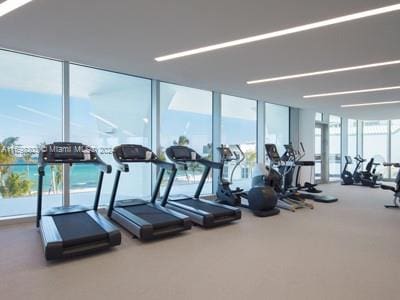 workout area with plenty of natural light and a wall of windows