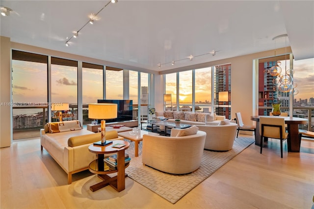 living room with rail lighting and light hardwood / wood-style floors