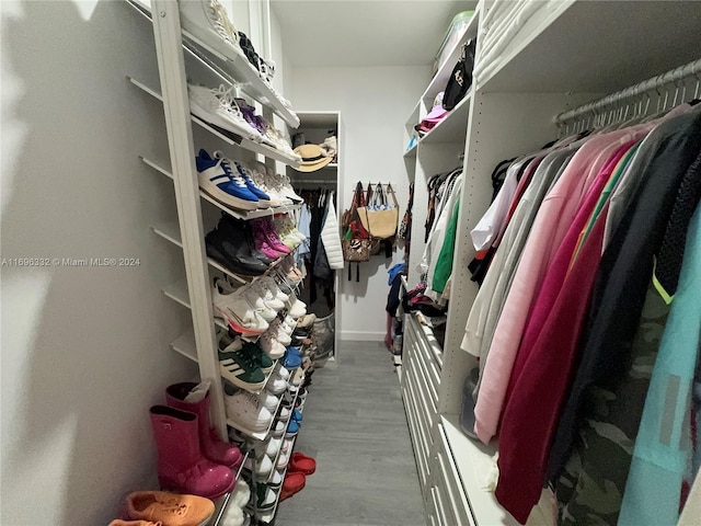 walk in closet with wood-type flooring