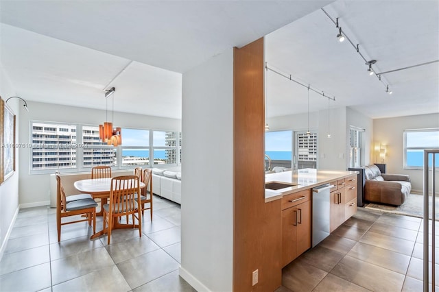 kitchen with plenty of natural light, track lighting, hanging light fixtures, and stainless steel dishwasher