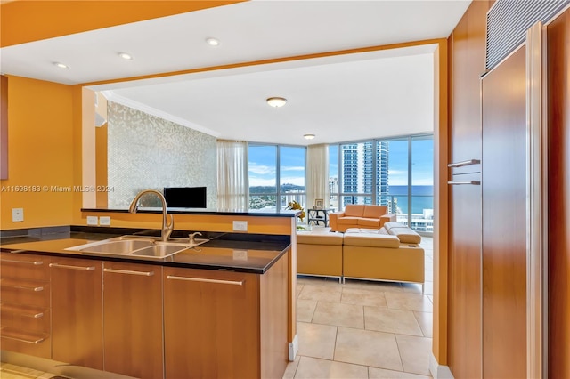 kitchen with light tile patterned floors, expansive windows, crown molding, and sink