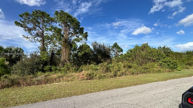 Listing photo 3 for 859 Carpenter St E, Lehigh Acres FL 33974