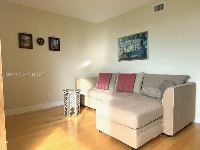 living room featuring wood-type flooring