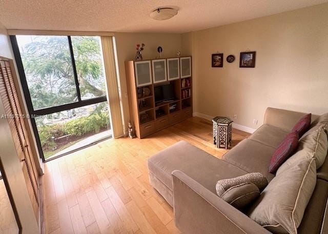 living room featuring light hardwood / wood-style floors and a textured ceiling