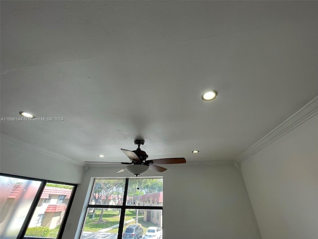 room details featuring ceiling fan and crown molding