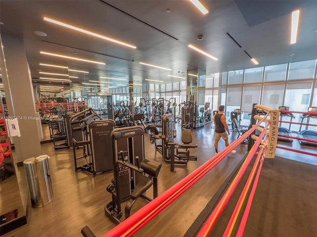 gym with hardwood / wood-style floors and expansive windows