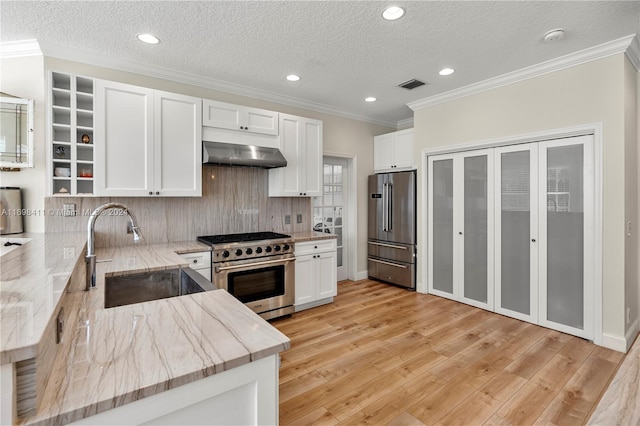 kitchen with sink, premium appliances, light stone counters, light hardwood / wood-style flooring, and ventilation hood