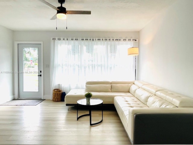 living room with ceiling fan and light hardwood / wood-style floors