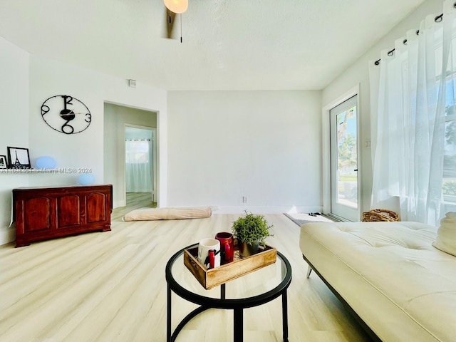 interior space with light hardwood / wood-style flooring