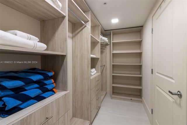 view of spacious closet