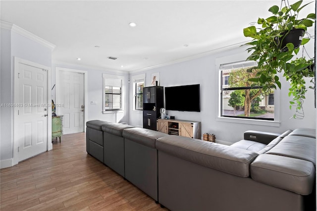 living room featuring light wood-type flooring and crown molding