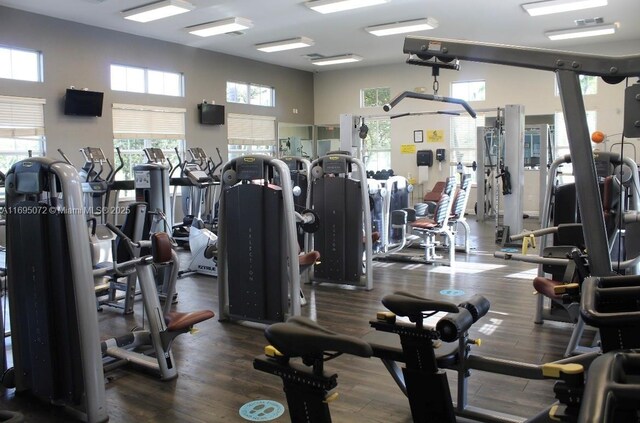 gym featuring dark hardwood / wood-style floors