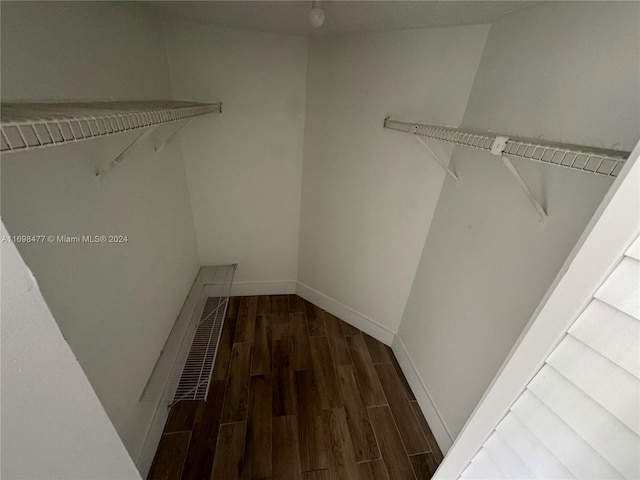 spacious closet featuring dark hardwood / wood-style floors