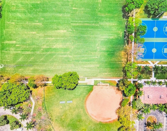 aerial view