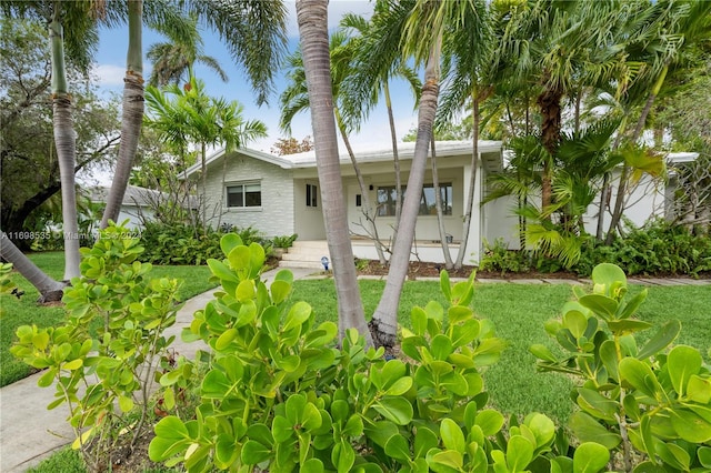 rear view of property featuring a yard