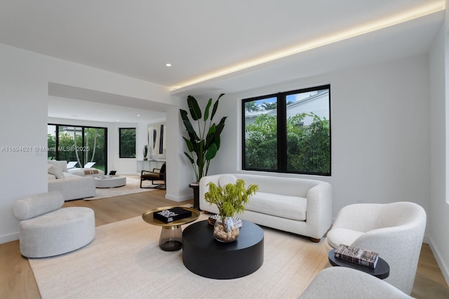 living room featuring light hardwood / wood-style floors