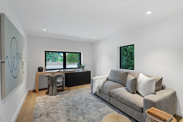 living room with light hardwood / wood-style flooring