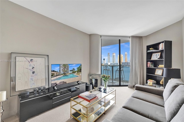 carpeted living room featuring a wall of windows