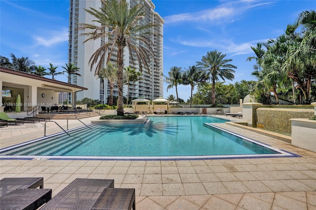 view of swimming pool featuring a patio