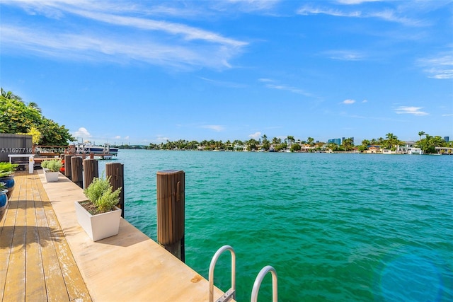 dock area with a water view