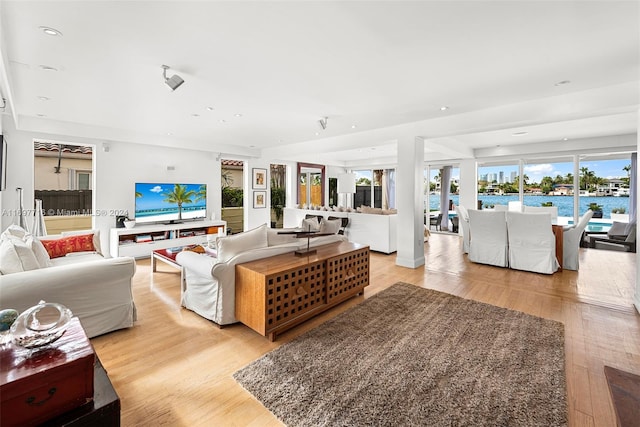 living room featuring light hardwood / wood-style flooring