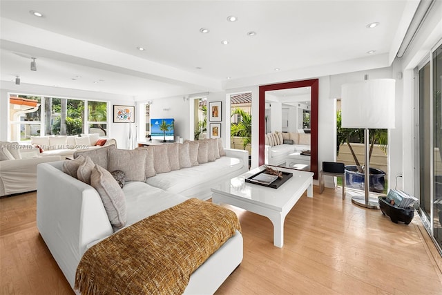 living room with light hardwood / wood-style flooring