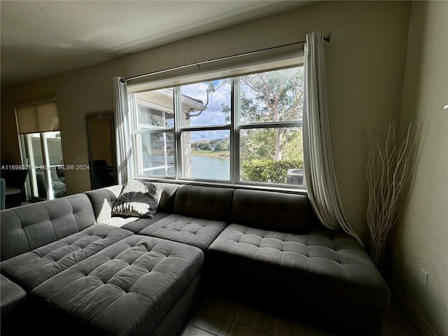 living room with a wealth of natural light and a water view