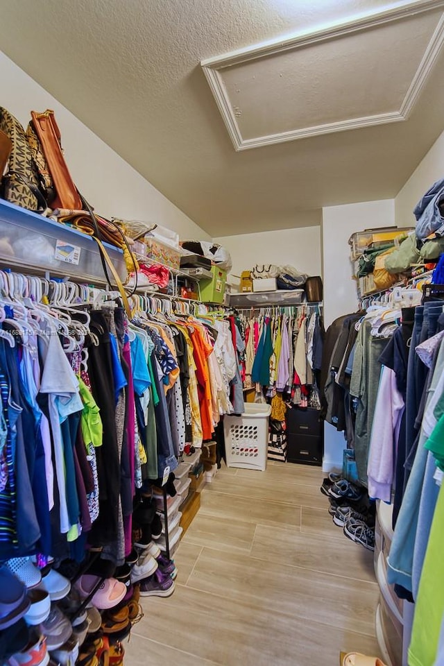 spacious closet with hardwood / wood-style flooring