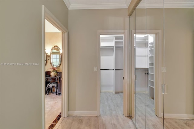 corridor with light wood-type flooring and crown molding