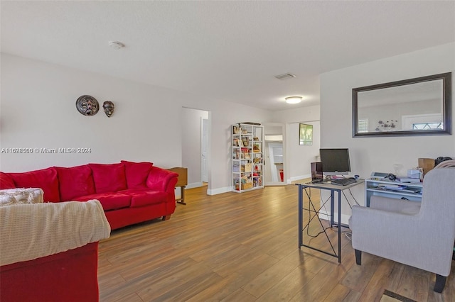 living room featuring wood-type flooring