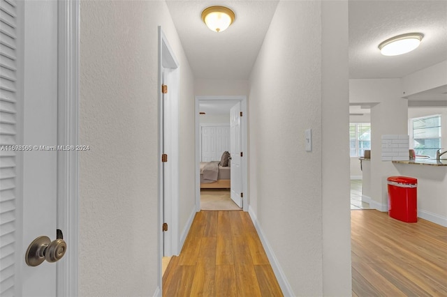 hall with a textured ceiling and light wood-type flooring